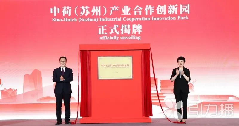开元国际